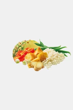 Adventure Food Chicken Curry Maaltijd