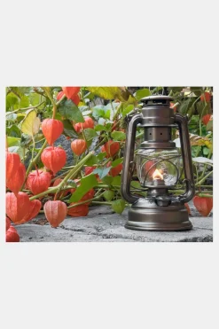 Feuerhand Stormlamp 276 Brons