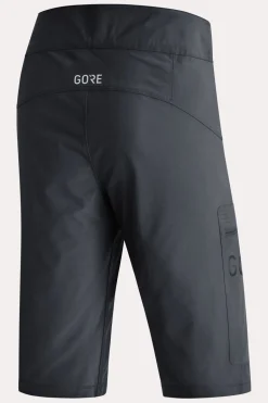 Gore Wear Passion Shorts