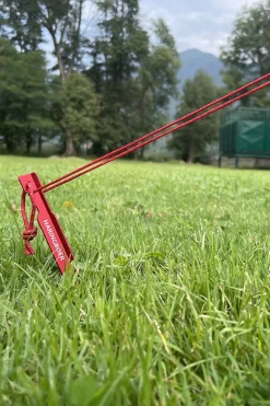 HARINGBOER Aluminium 23 Cm Klei- En Grasharing