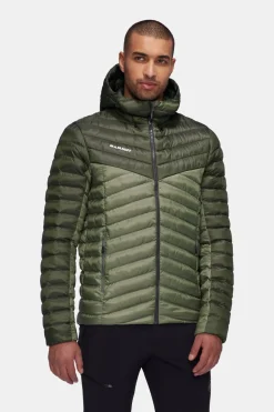 Mammut Albula In Hooded Isolatiejas