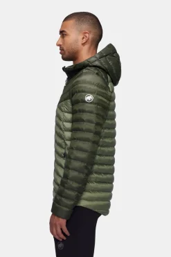 Mammut Albula In Hooded Isolatiejas