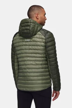 Mammut Albula In Hooded Isolatiejas