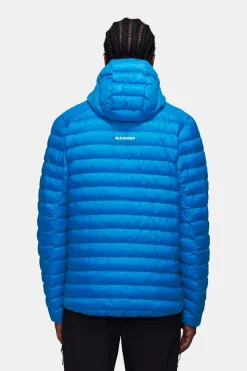 Mammut Albula In Hooded Isolatiejas