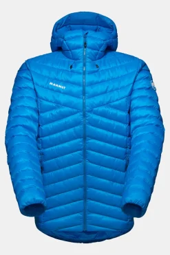 Mammut Albula In Hooded Isolatiejas