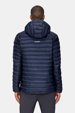 Mammut Albula In Hooded Isolatiejas