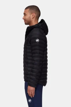 Mammut Albula In Hooded Isolatiejas