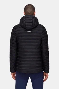 Mammut Albula In Hooded Isolatiejas