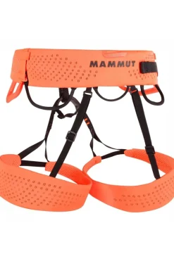 Mammut Sender Harnas