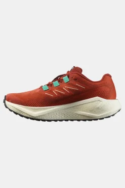 Salomon Aero Blaze 3 GRVL Hardloopschoen Dames